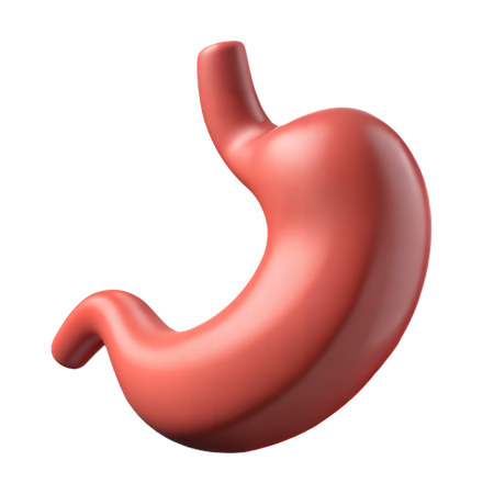 Stomach  3D Icon