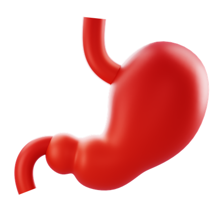 Stomach  3D Icon