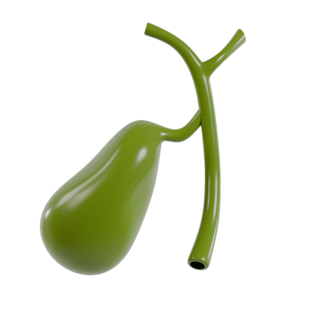 Stomach  3D Icon