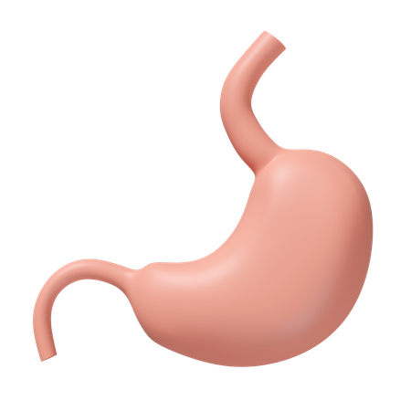 Stomach  3D Icon