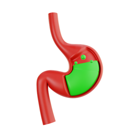 Stomach  3D Icon