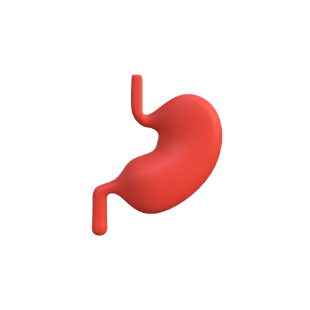 Stomach  3D Icon
