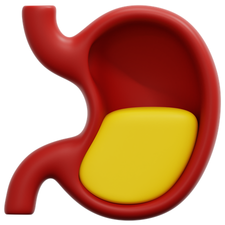 Stomach  3D Icon