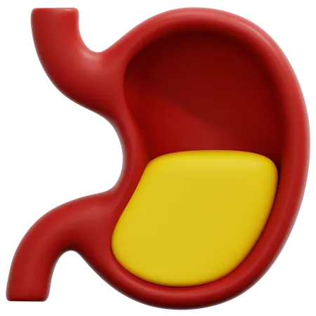 Stomach  3D Icon