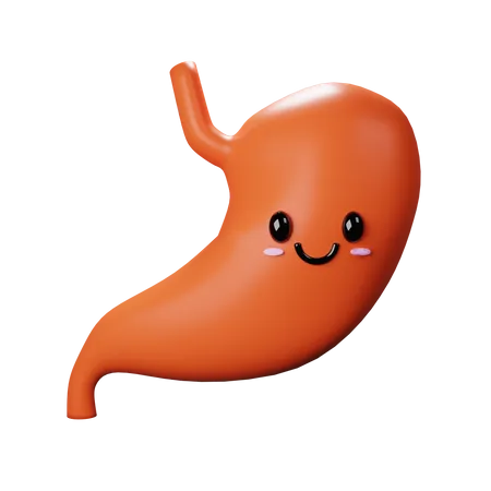 Stomach  3D Icon