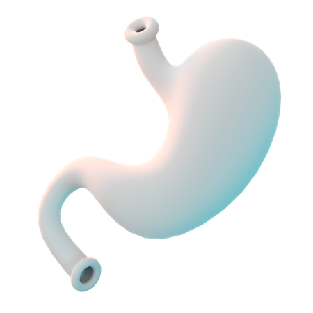 Stomach  3D Icon