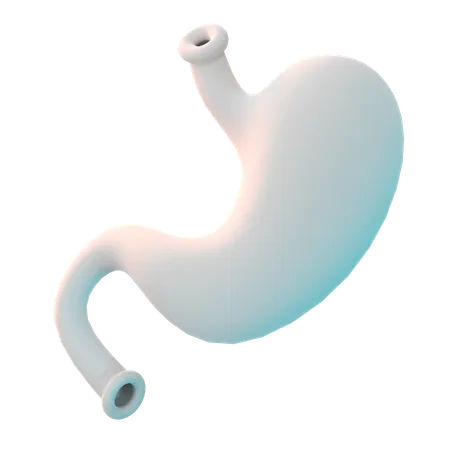 Stomach  3D Icon