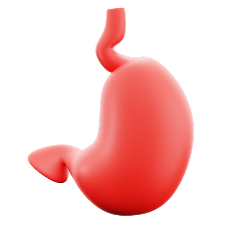 Stomach  3D Icon