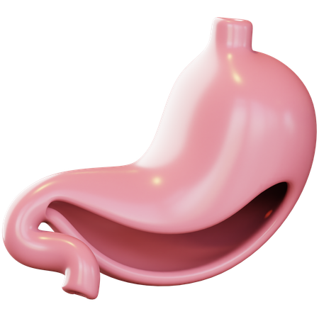 Stomach  3D Icon