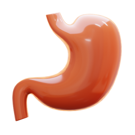 Stomach  3D Icon