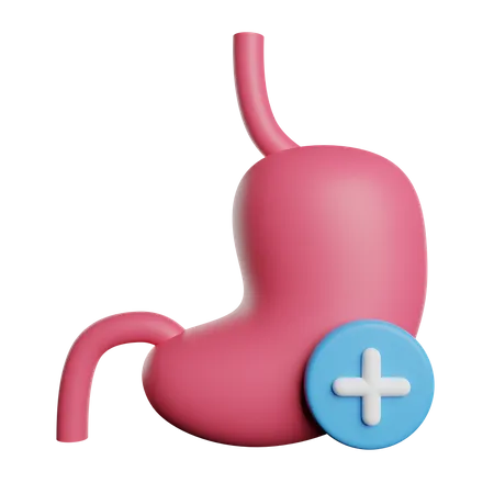 Stomach  3D Icon