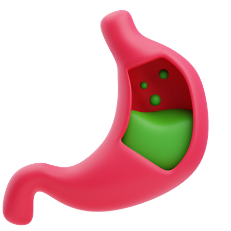 Stomach  3D Icon