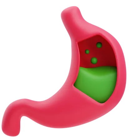 Stomach  3D Icon