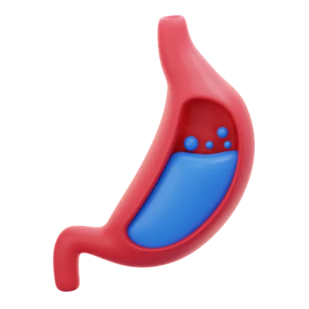 Stomach  3D Icon