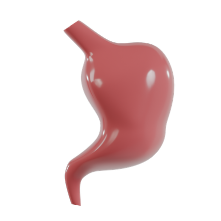 Stomach  3D Icon