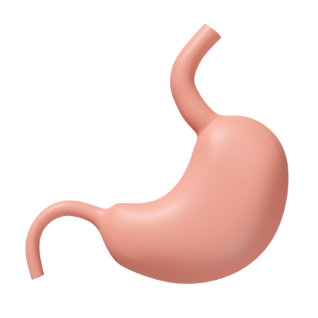 Stomach  3D Icon