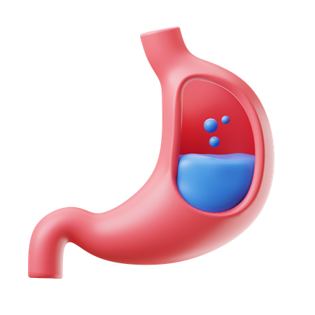 Stomach  3D Icon