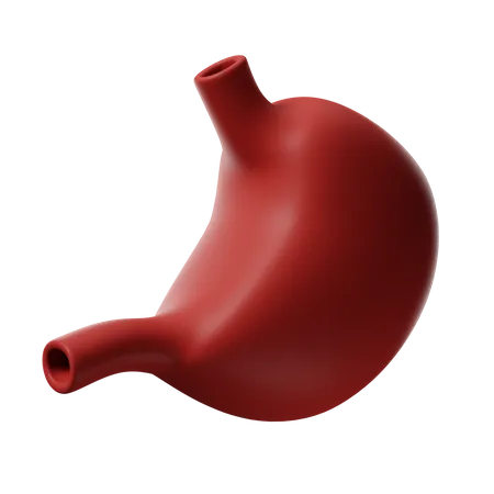 Stomach  3D Icon