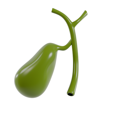 Stomach  3D Icon