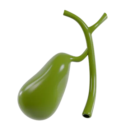 Stomach  3D Icon