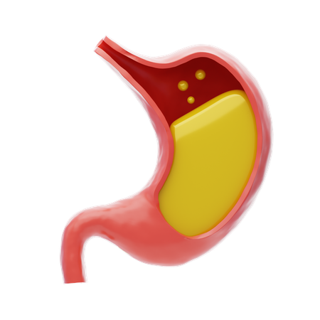 Stomach  3D Icon