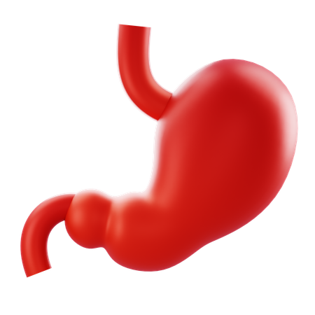 Stomach  3D Icon