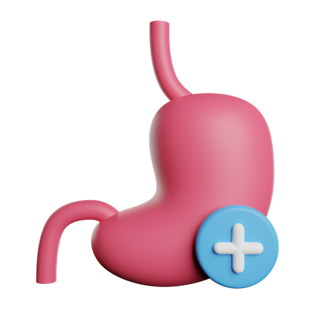 Stomach  3D Icon