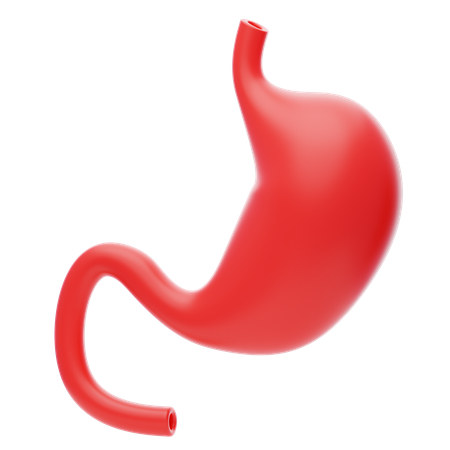 Stomach  3D Icon