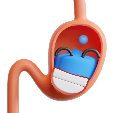 Stomach  3D Illustration