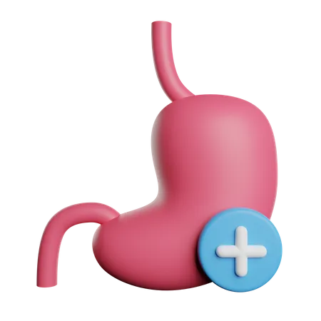 Stomach Organ Body 3D Icon