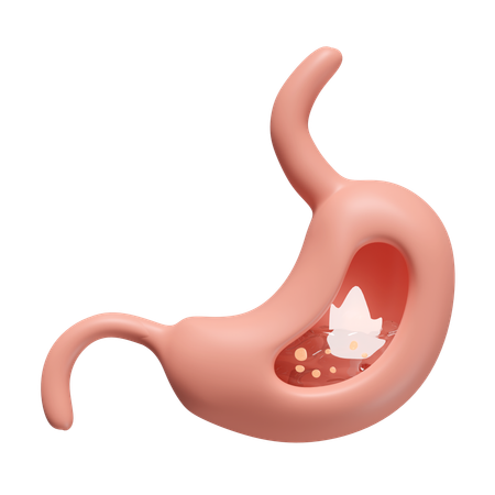 Stomach Acid  3D Icon