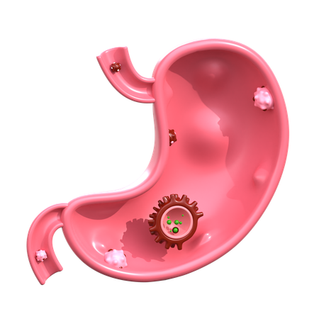 Stomach Cancer  3D Icon