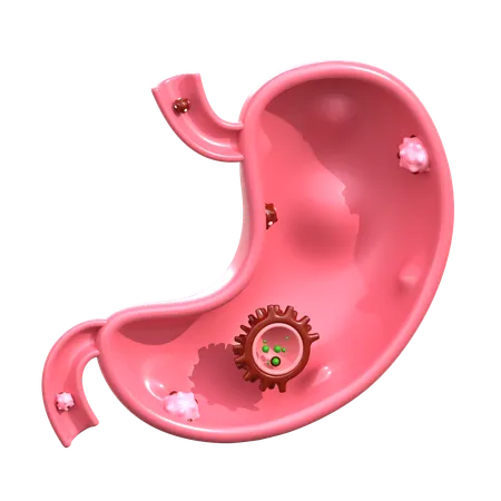 Stomach Cancer  3D Icon