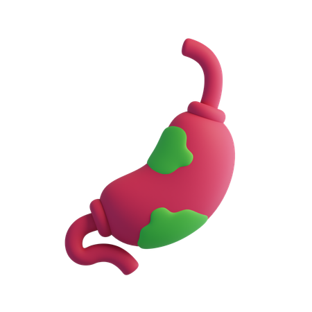 Stomach cancer  3D Icon