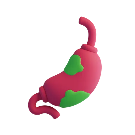 Stomach cancer  3D Icon