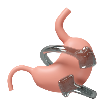 Stomach Checkup  3D Icon