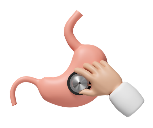 Stomach Checkup  3D Icon