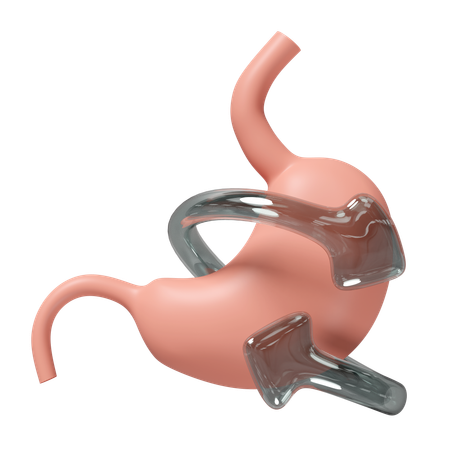 Stomach Checkup  3D Icon