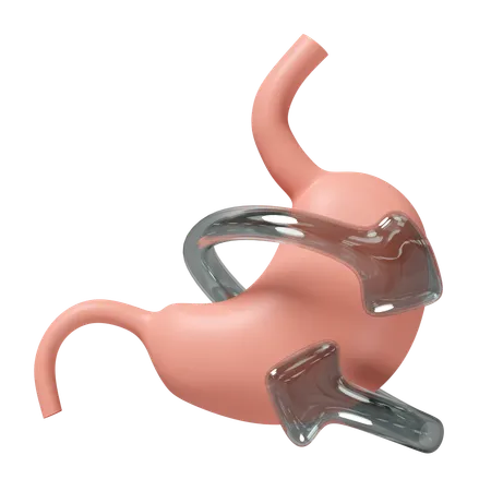 Stomach Checkup  3D Icon