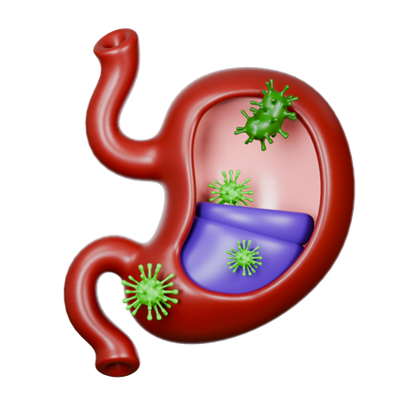 Stomach Diseases  3D Icon