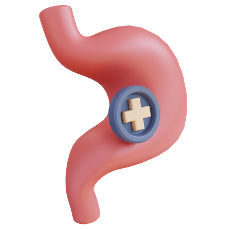 Stomach Gastroenterology  3D Icon
