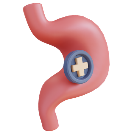 Stomach Gastroenterology  3D Icon