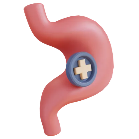 3 D Illustration Of Gastric Health Check 3D Icon