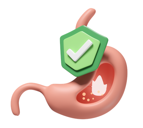 Stomach Health  3D Icon