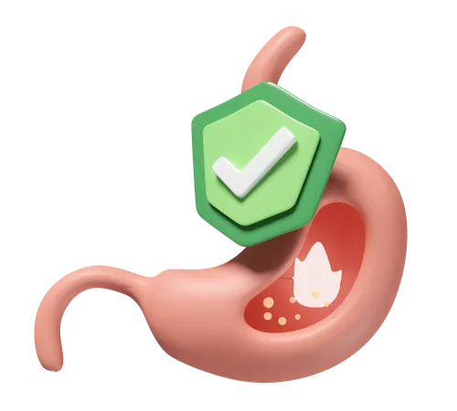 Stomach Health  3D Icon