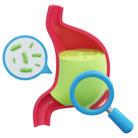 Stomach Inspection  3D Icon