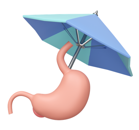 Stomach Insurance  3D Icon