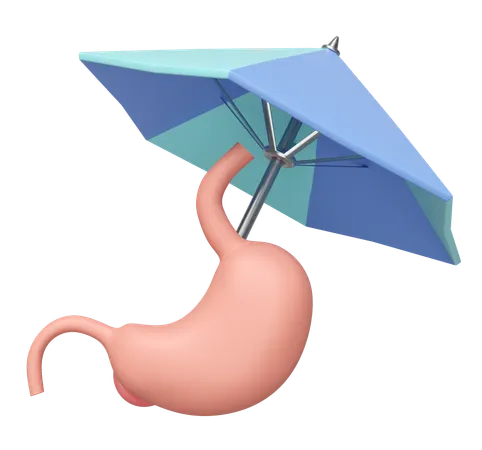 Stomach Insurance  3D Icon