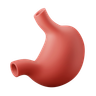 stomach organ 3d logo
