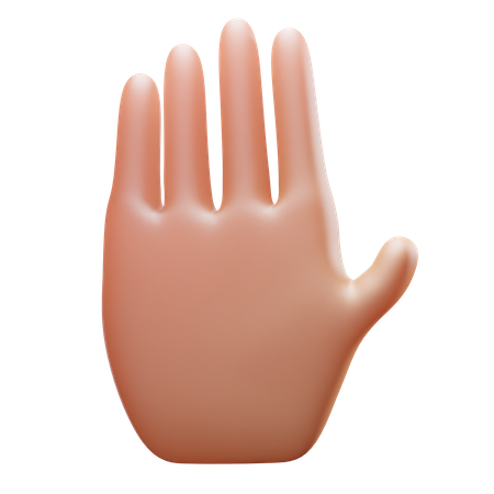 Stop Gesture  3D Icon